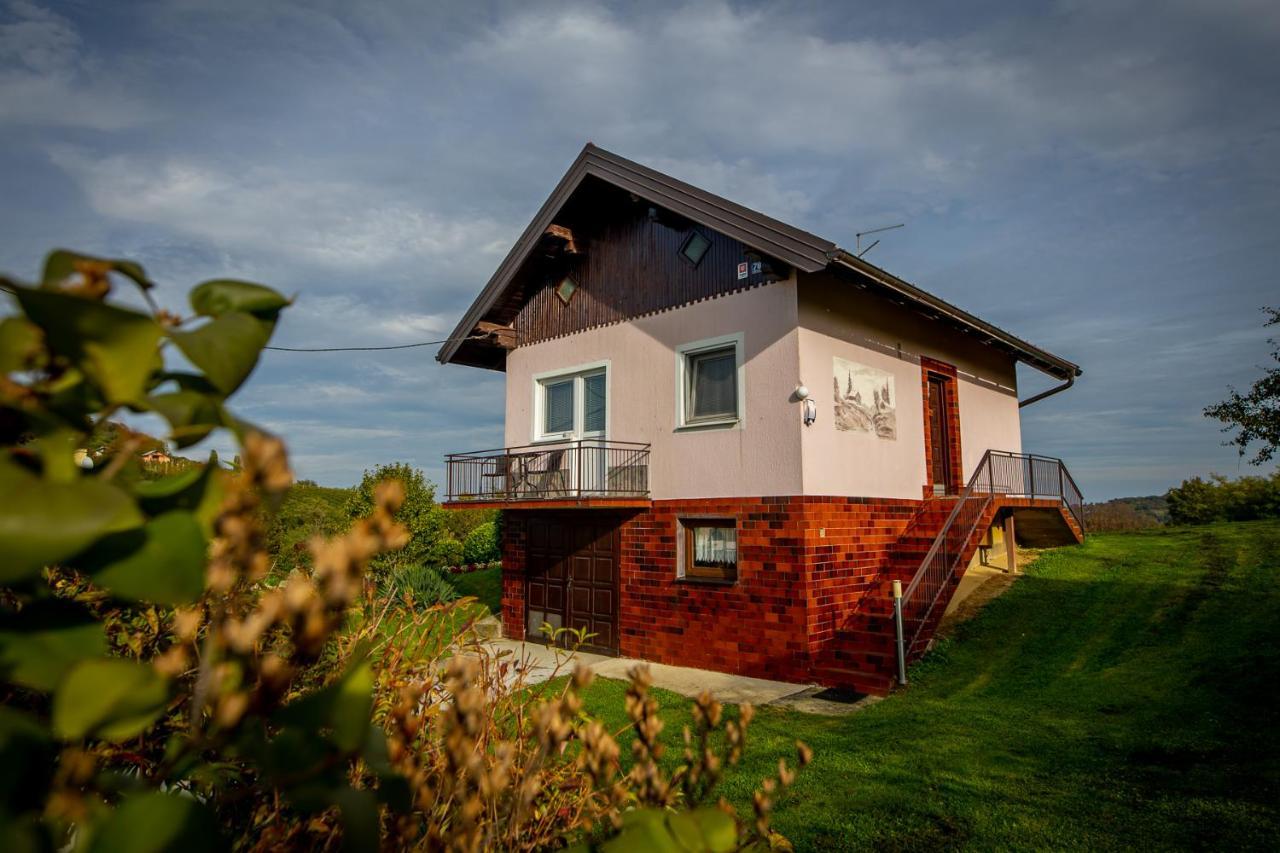 Kuca Za Odmor Martin Villa Sveti Martin Na Muri Exterior photo